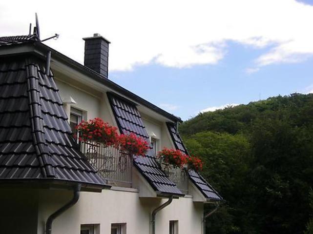 Weisses-Haus-Am-Kurpark-Fewo-Bergblick Bad Suderode Exterior foto